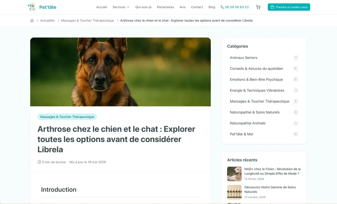 Article de blog Pat'tâte